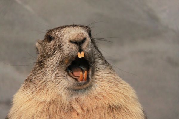 High Tauern National Park