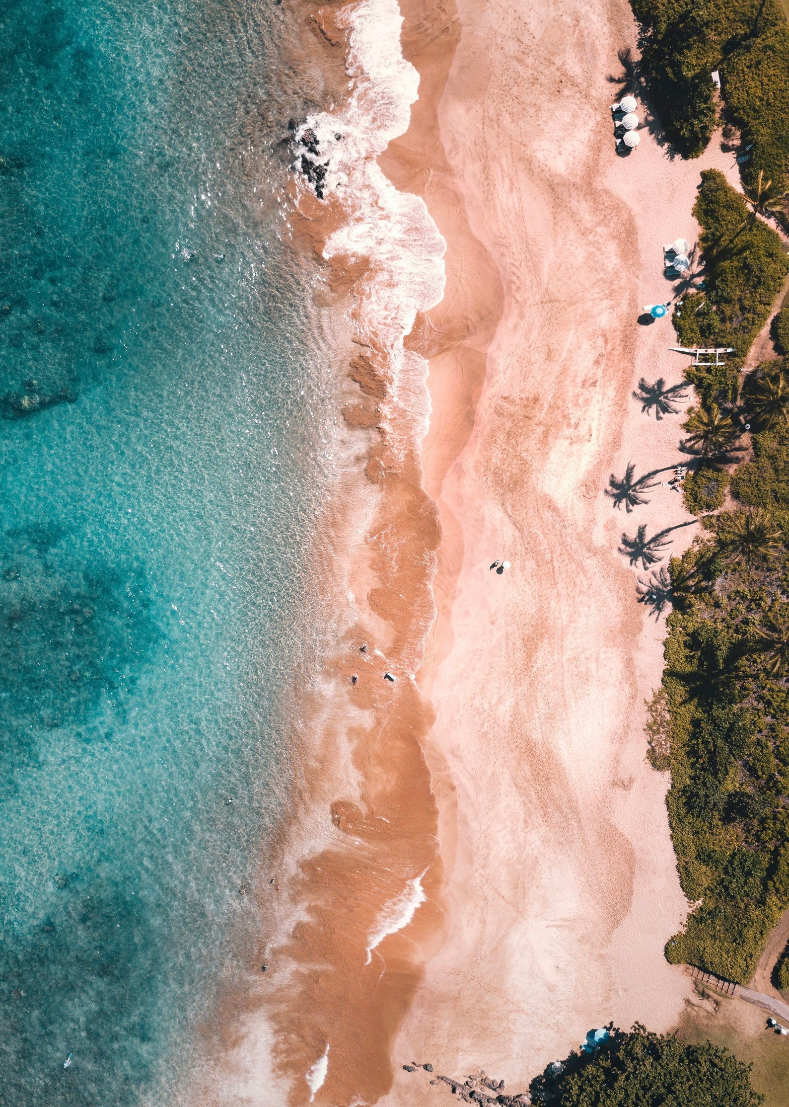 Image of Maui in United States