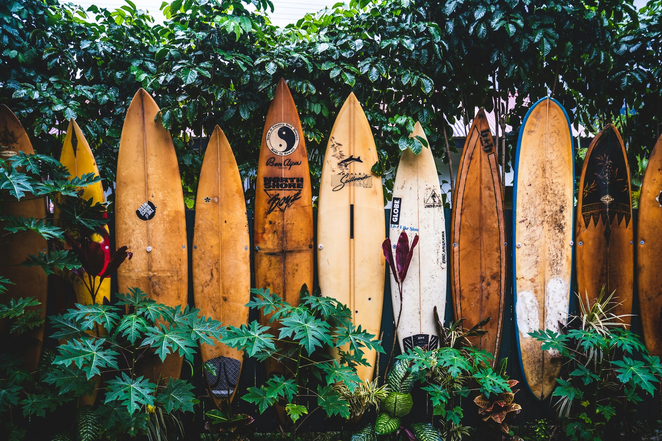 Surfboard Fence. | Kauai in United States