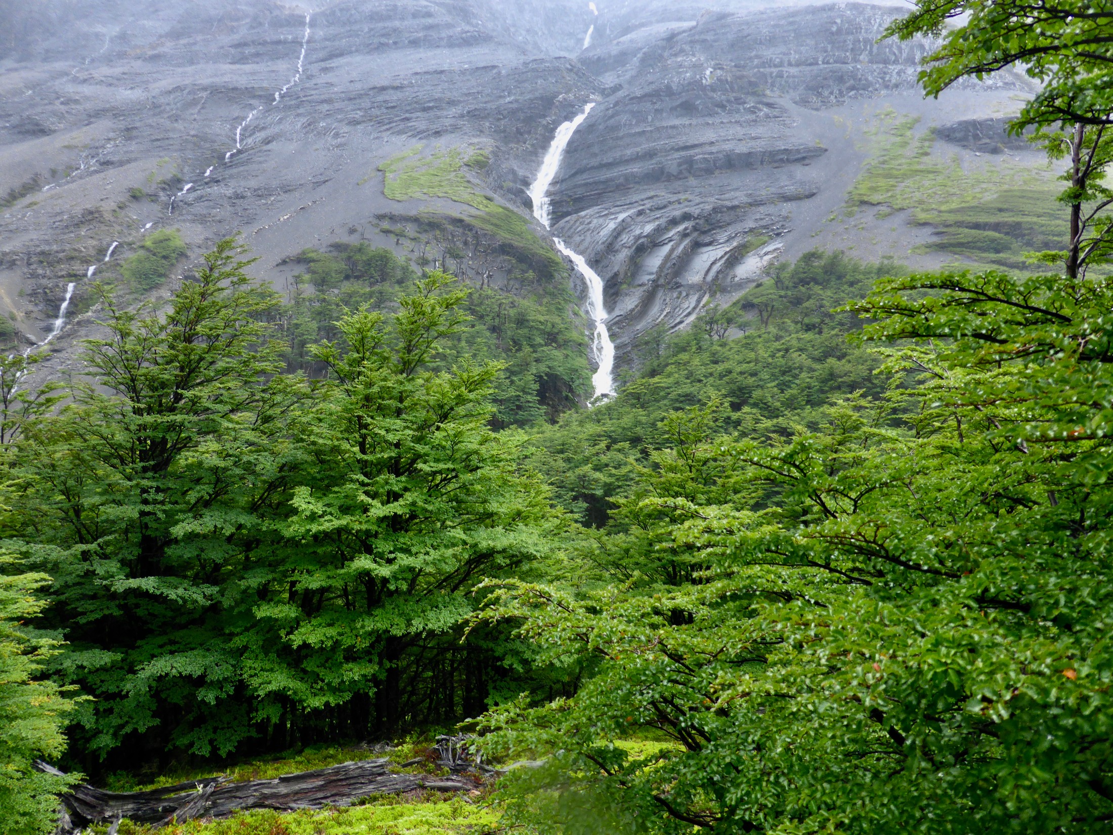 Descendiendo entre el mirador Base de las Torres y el Refugio Chileno, con fuerte lluvia. Fotografía tomada en el verano austral. | Torres del Paine National Park in Chile