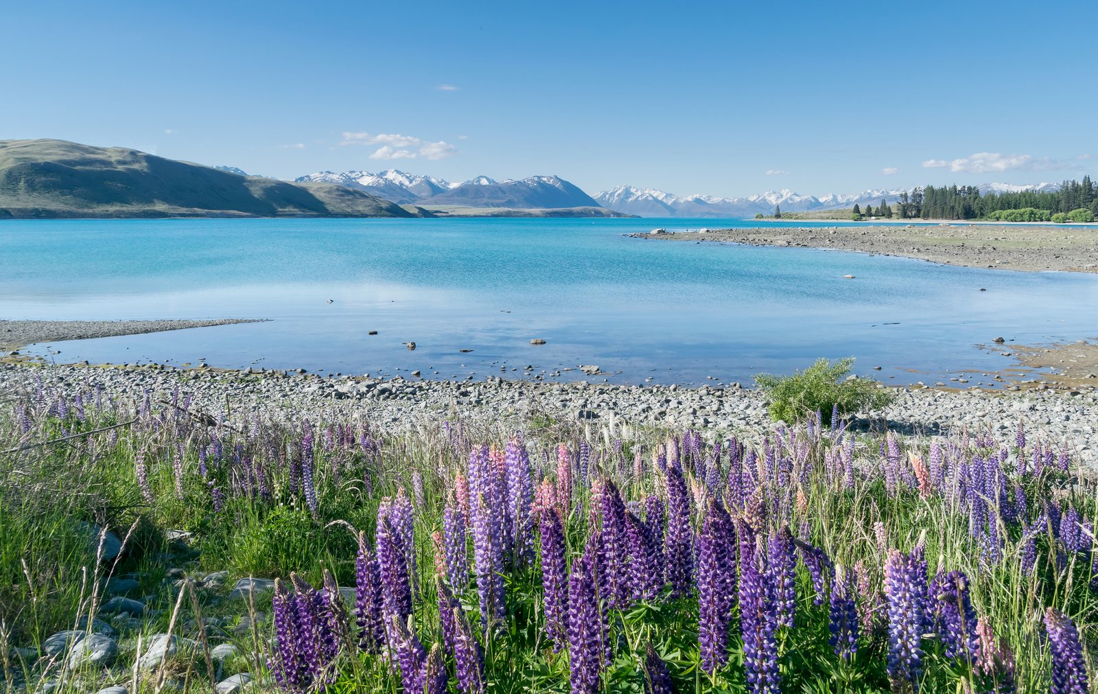 Lake Tekapo in Canterbury Region, New Zealand. | Lake Tekapo in New Zealand