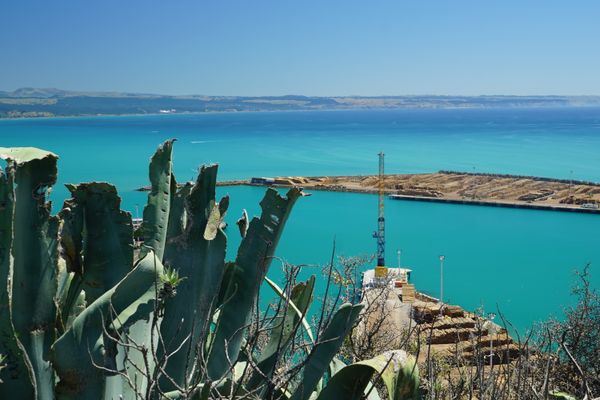 Image of Napier in New Zealand