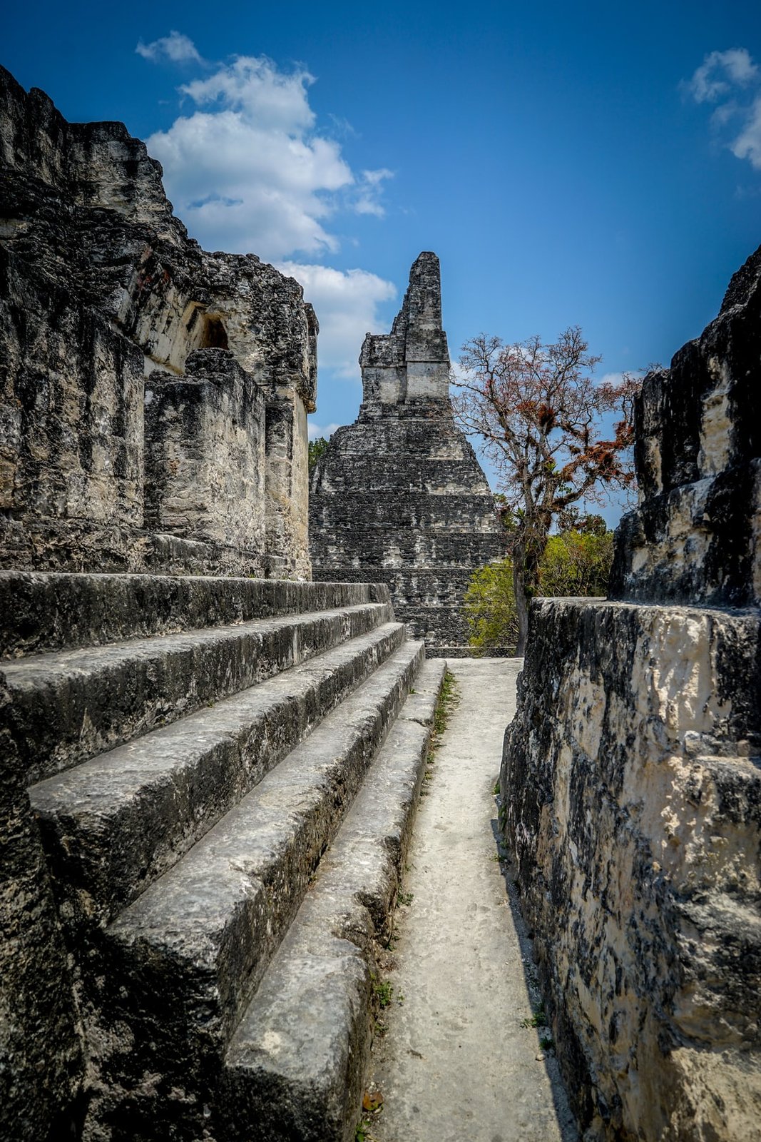 TIkal. Linear lines, Mayan Ruins, 2900 years old and still majestic. | Tikal National Park in Guatemala