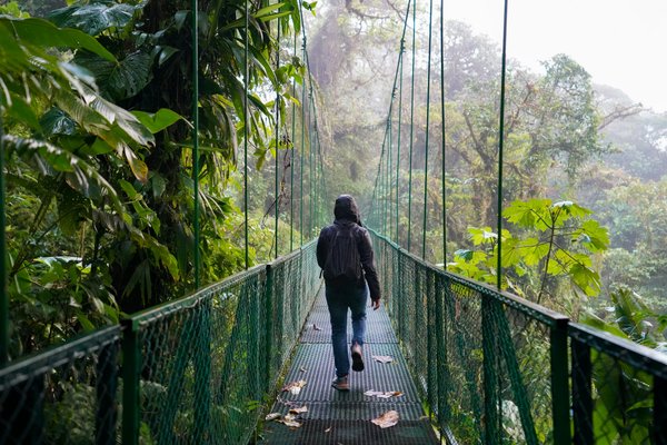 Guy crossing a hanging bridge within the Cloud Forest in La Fortuna, Costa Rica.
 | La Fortuna in Costa Rica