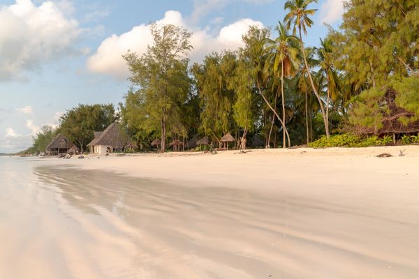 Strand auf Sansibar | Zanzibar in Tanzania