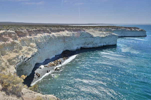 Image of Puerto Madryn in Argentina
