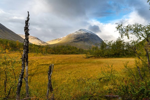 Sarek National Park