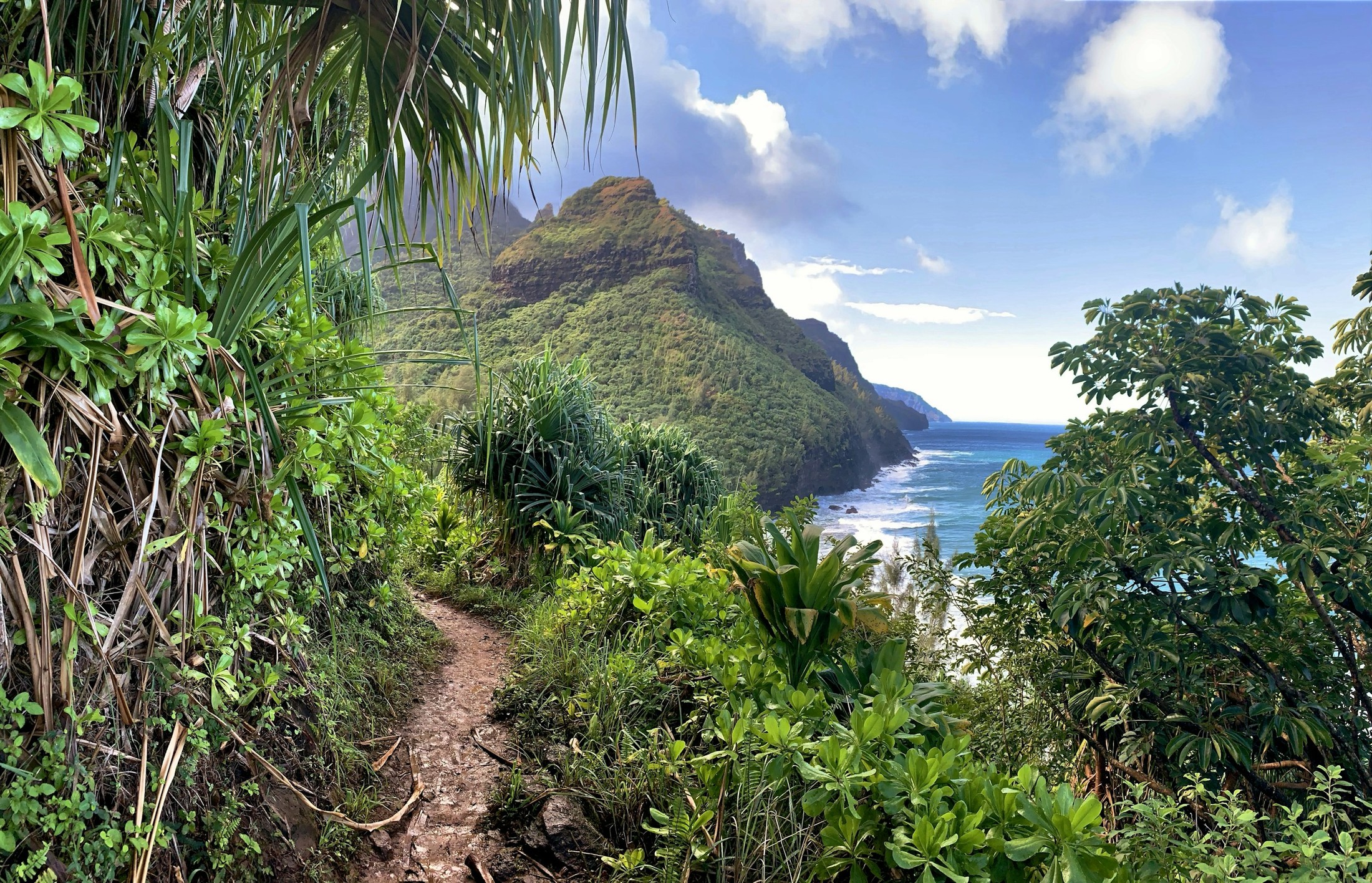 Image of Kauai in United States