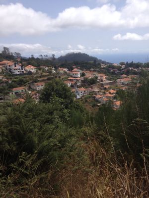 Image of Camacha in Portugal