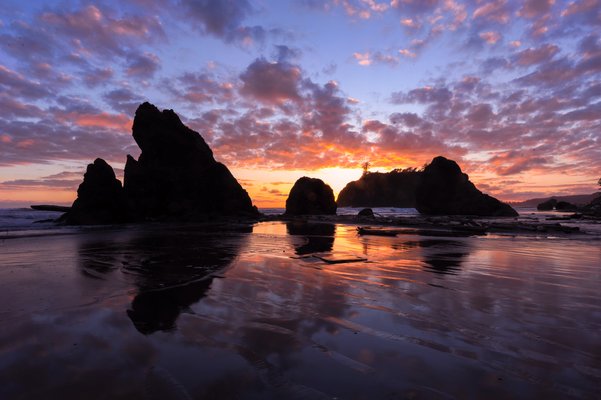 Image of Olympic National Park in United States