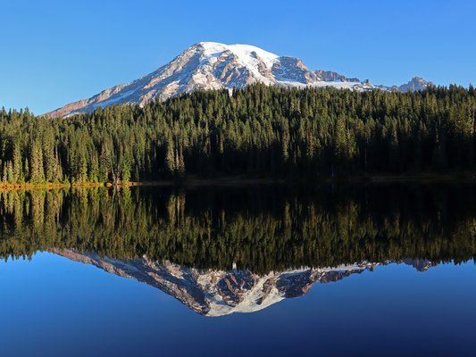 Image of Mount Rainier National Park in United States