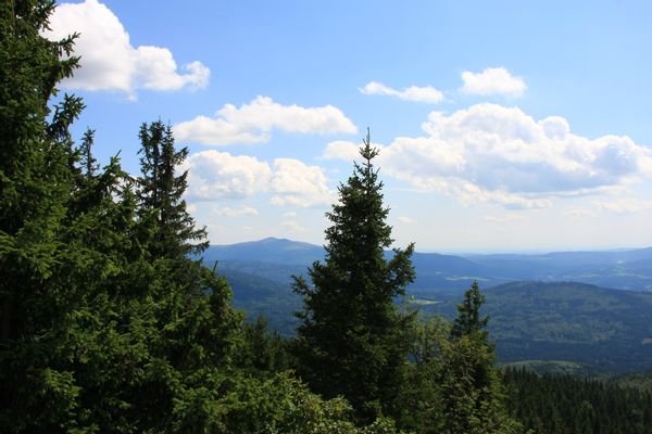 Bavarian Forest National Park