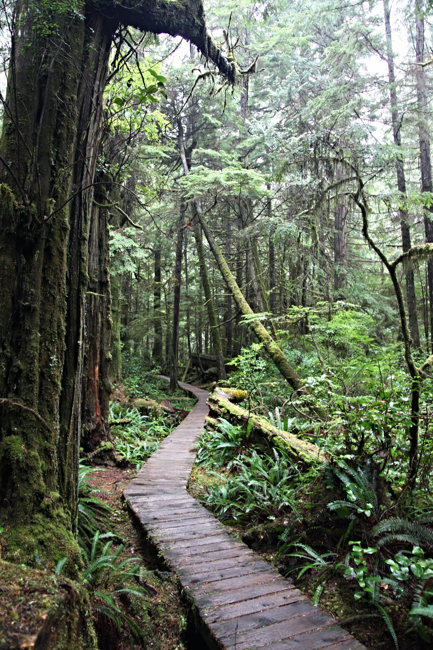 IMG_7431 | Vancouver Island in Canada