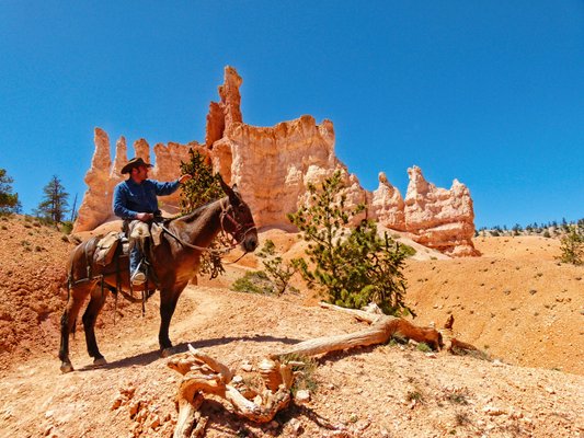 Image of Bryce Canyon National Park in United States