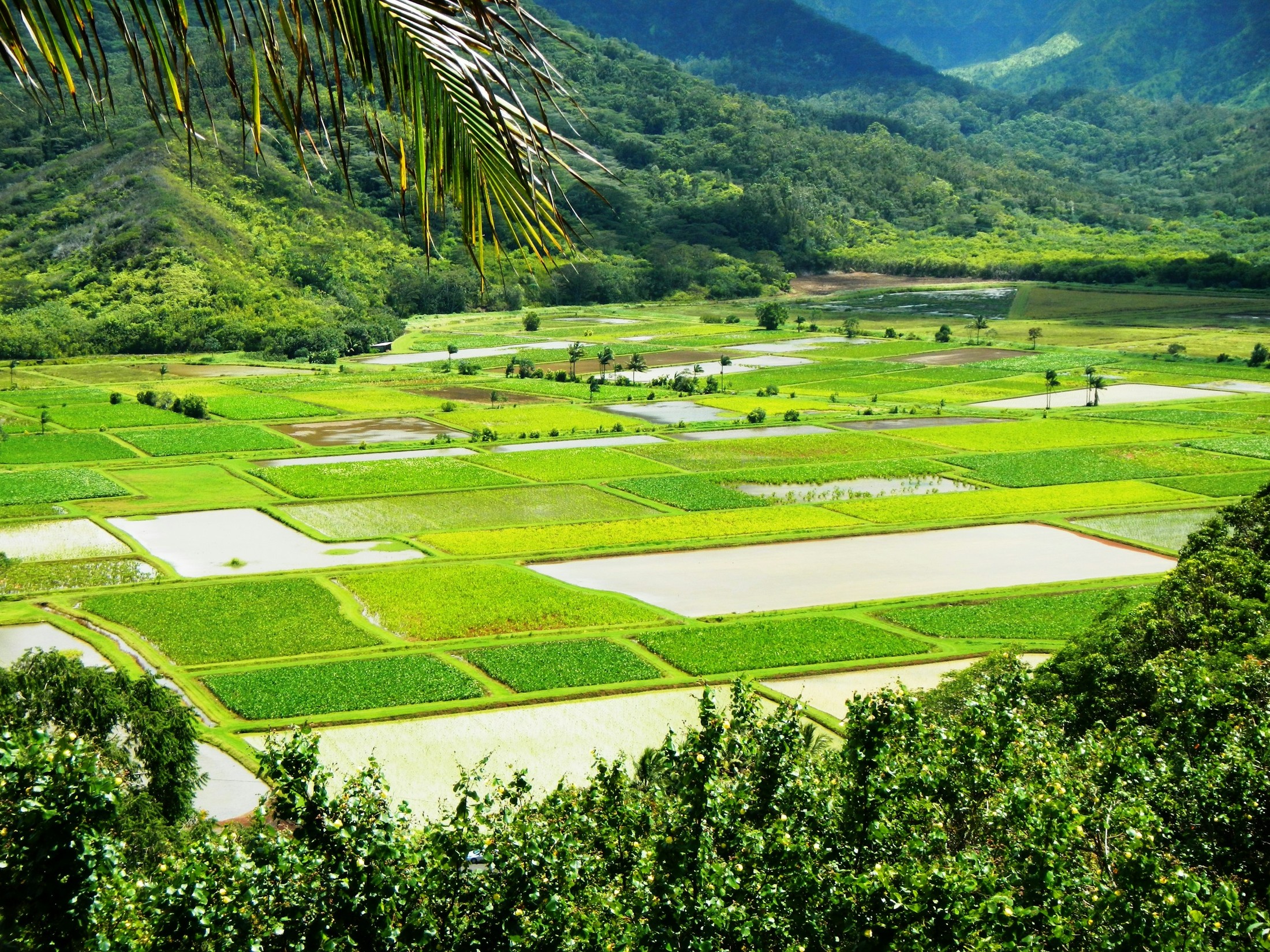 Image of Kauai in United States