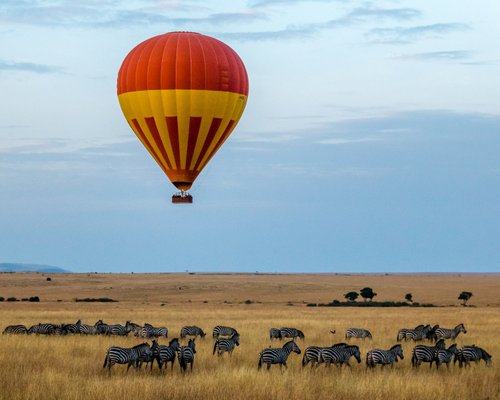 A lone hot air balloon over a herd of zebras. | Maasai Mara National Reserve in Kenya