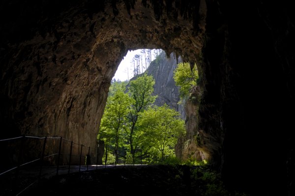 Postojna Cave | Postojna in Slovenia