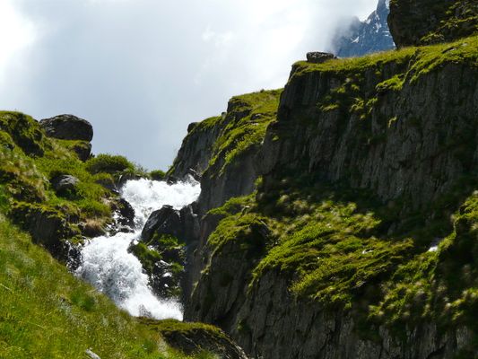 Image of Juta in Georgia