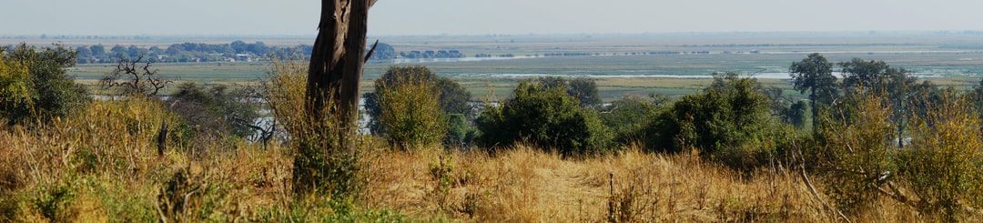 Image of Chobe National Park in Botswana