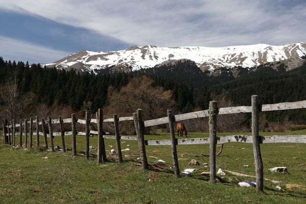 Image of Pyli in Greece