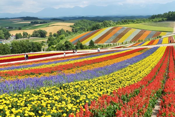 Image of Hokkaido in Japan