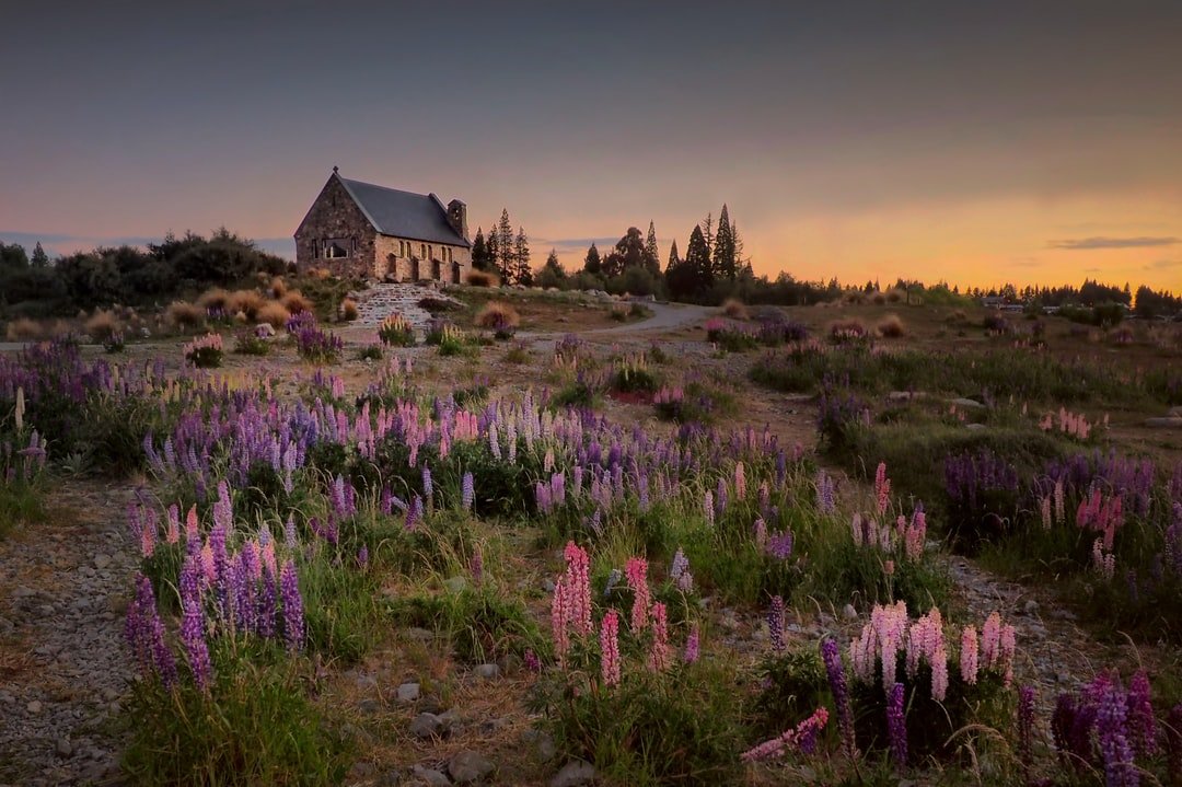 Taken in December 2014.  I arrived at Lake Tekapo shortly before sunset.  This was taken just after the sun had set behind me. | Lake Tekapo in New Zealand