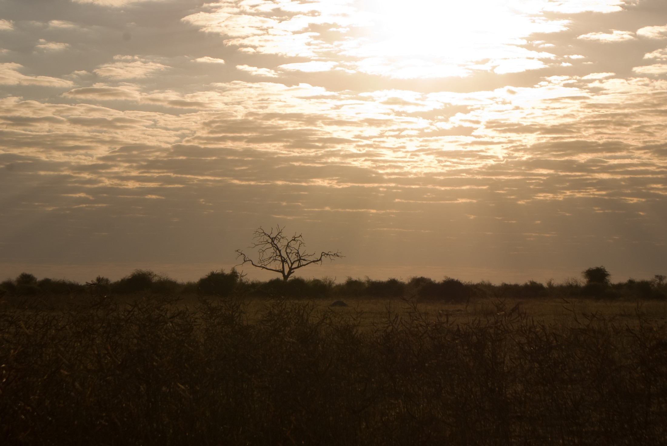 Chobe National Park (7 of 74) | Chobe National Park in Botswana