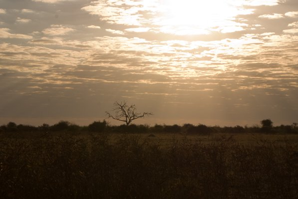Chobe National Park (7 of 74) | Chobe National Park in Botswana