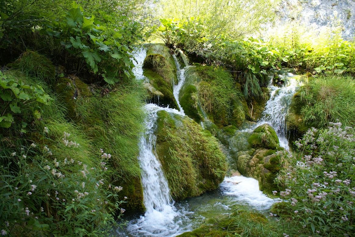 Water streams in Plitvice Lakes National Park | Plitvice Lakes National Park in Croatia