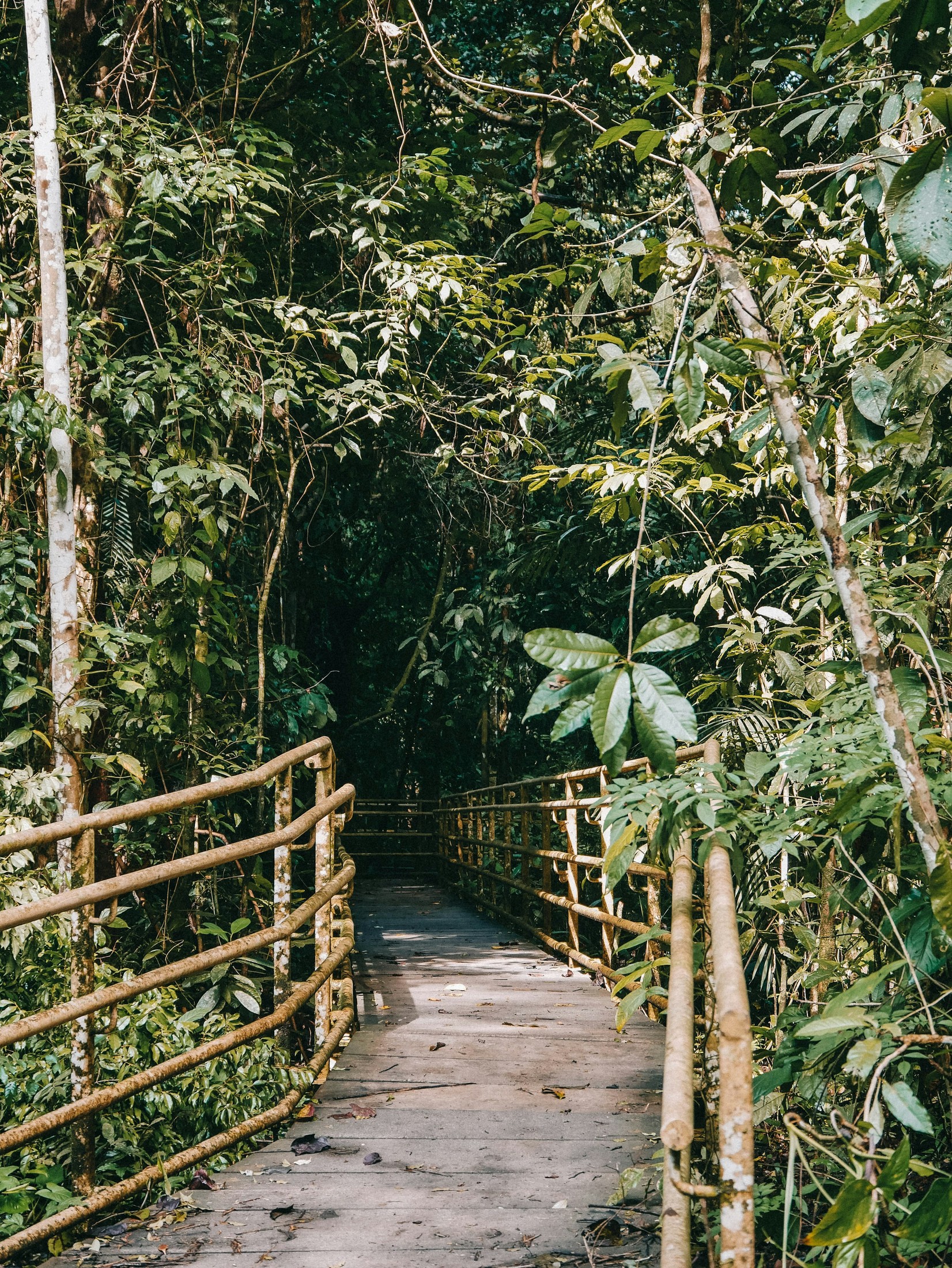 Image of Manuel Antonio National Park in Costa Rica