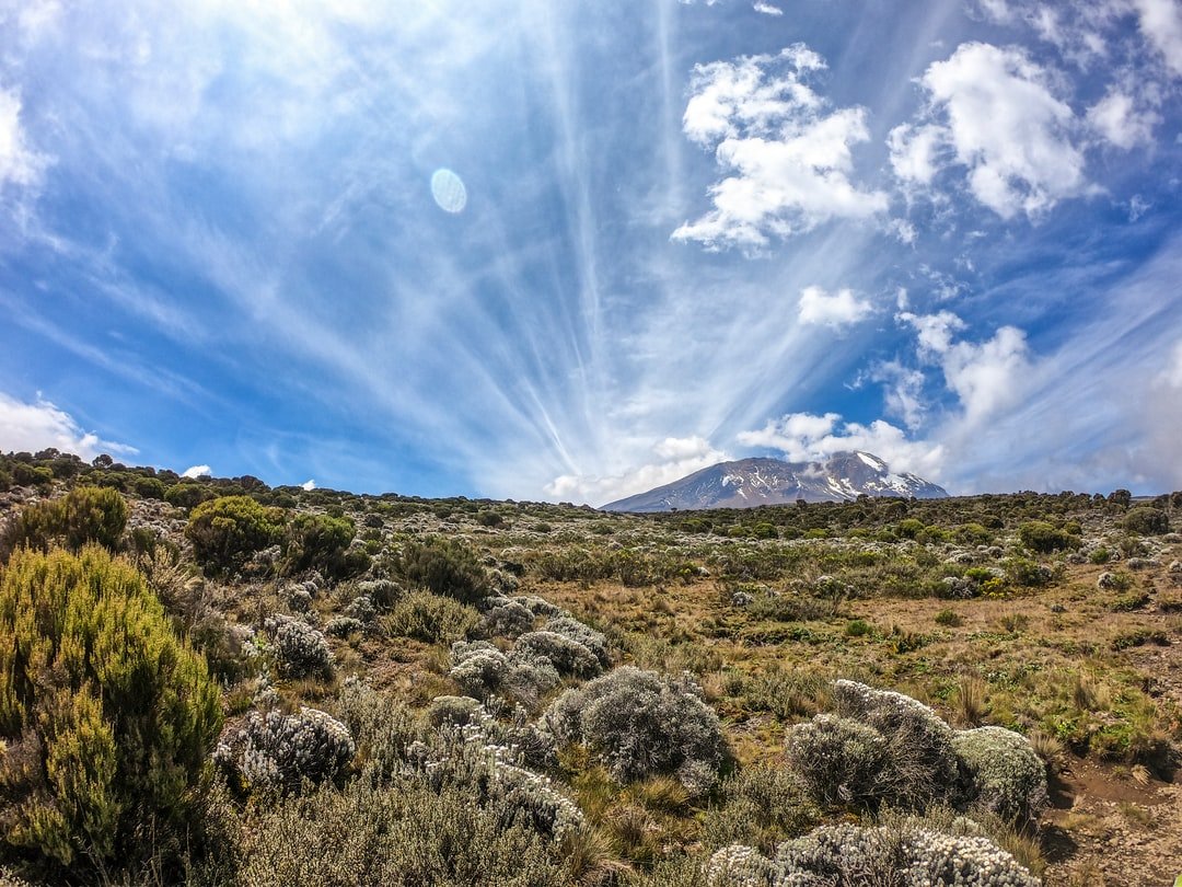 A mountain side view on my hike up Mnt Kilimanjaro | Kilimanjaro National Park in Tanzania