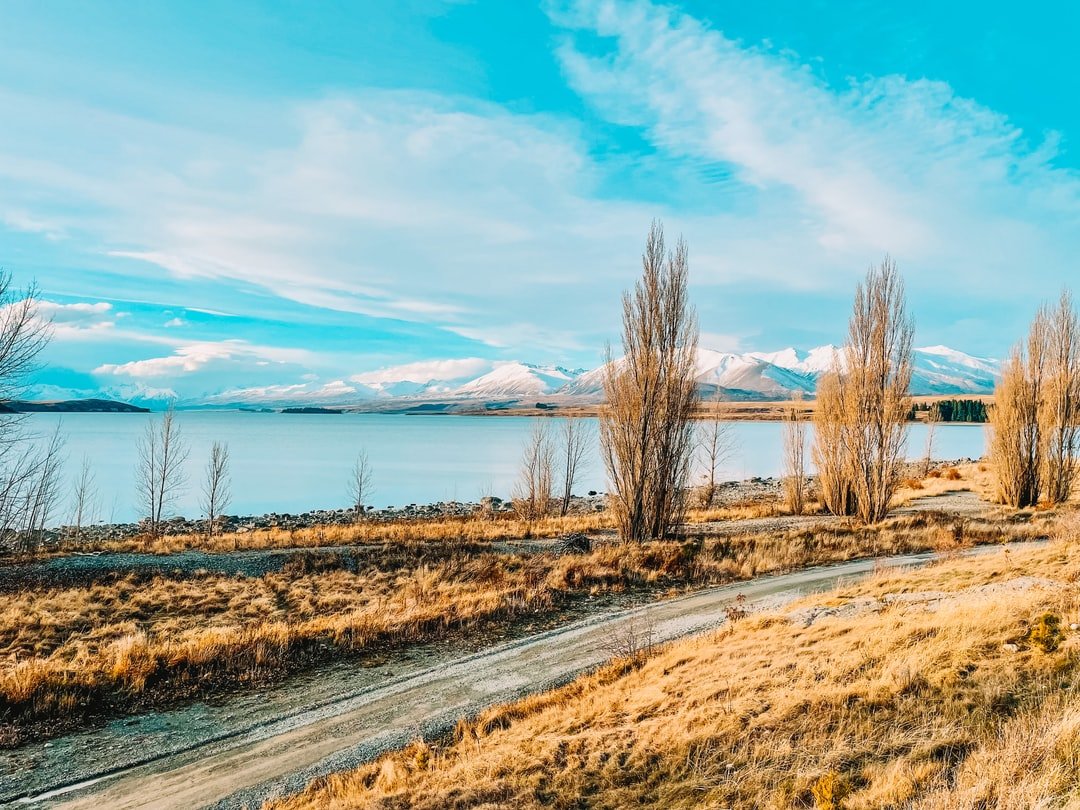 Image of Lake Tekapo in New Zealand