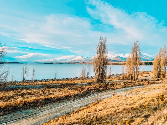 Image of Lake Tekapo in New Zealand