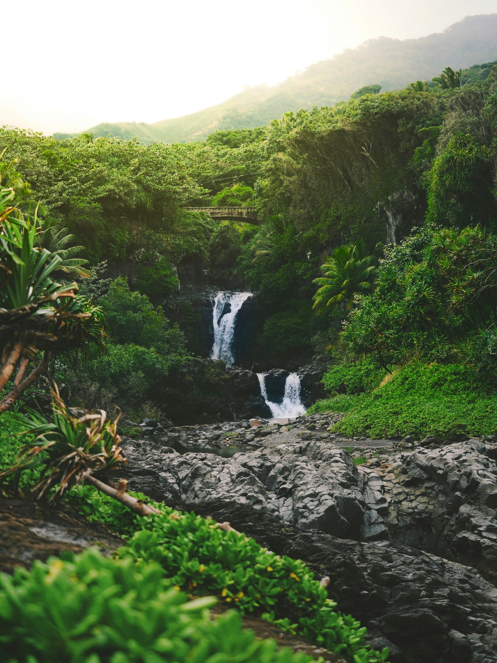 When hiking on the east side of Maui, my family and I hiked to find one of the most facinating waterfalls we have ever seen- the Seven Sacred Pools. | Maui in United States